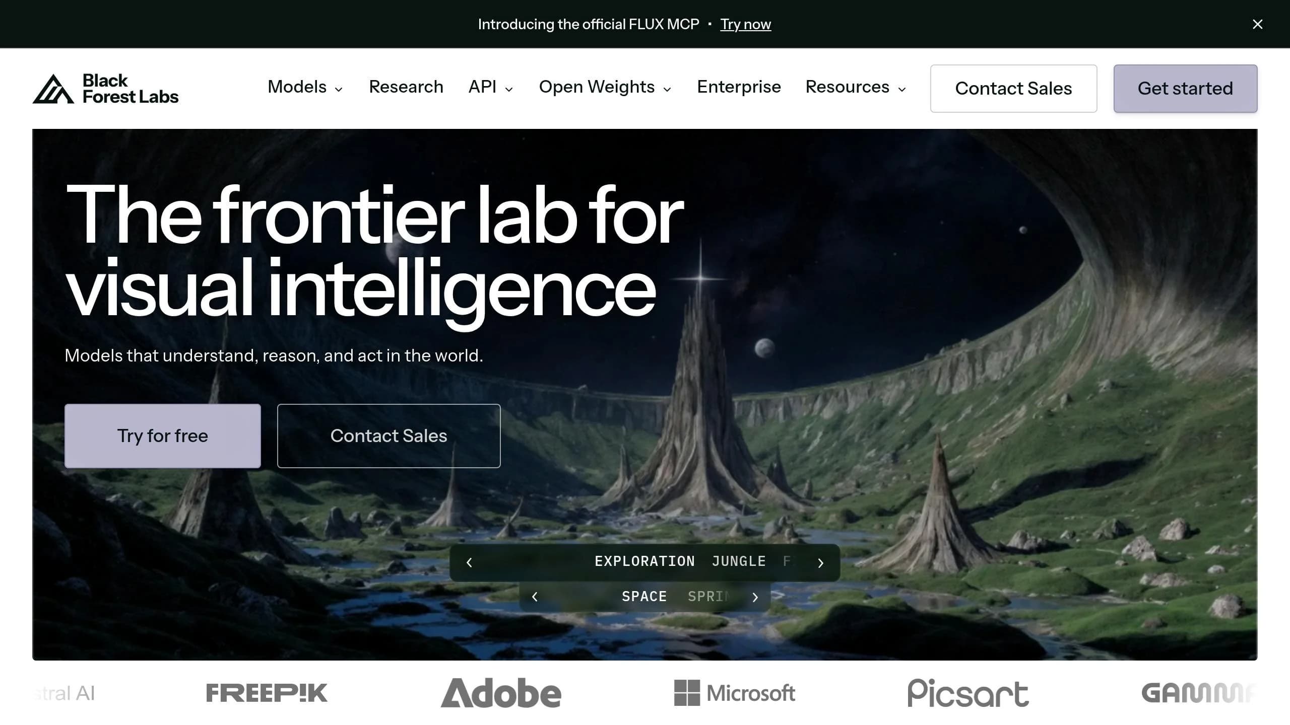 Flux Dev photorealistic image generation by Black Forest Labs