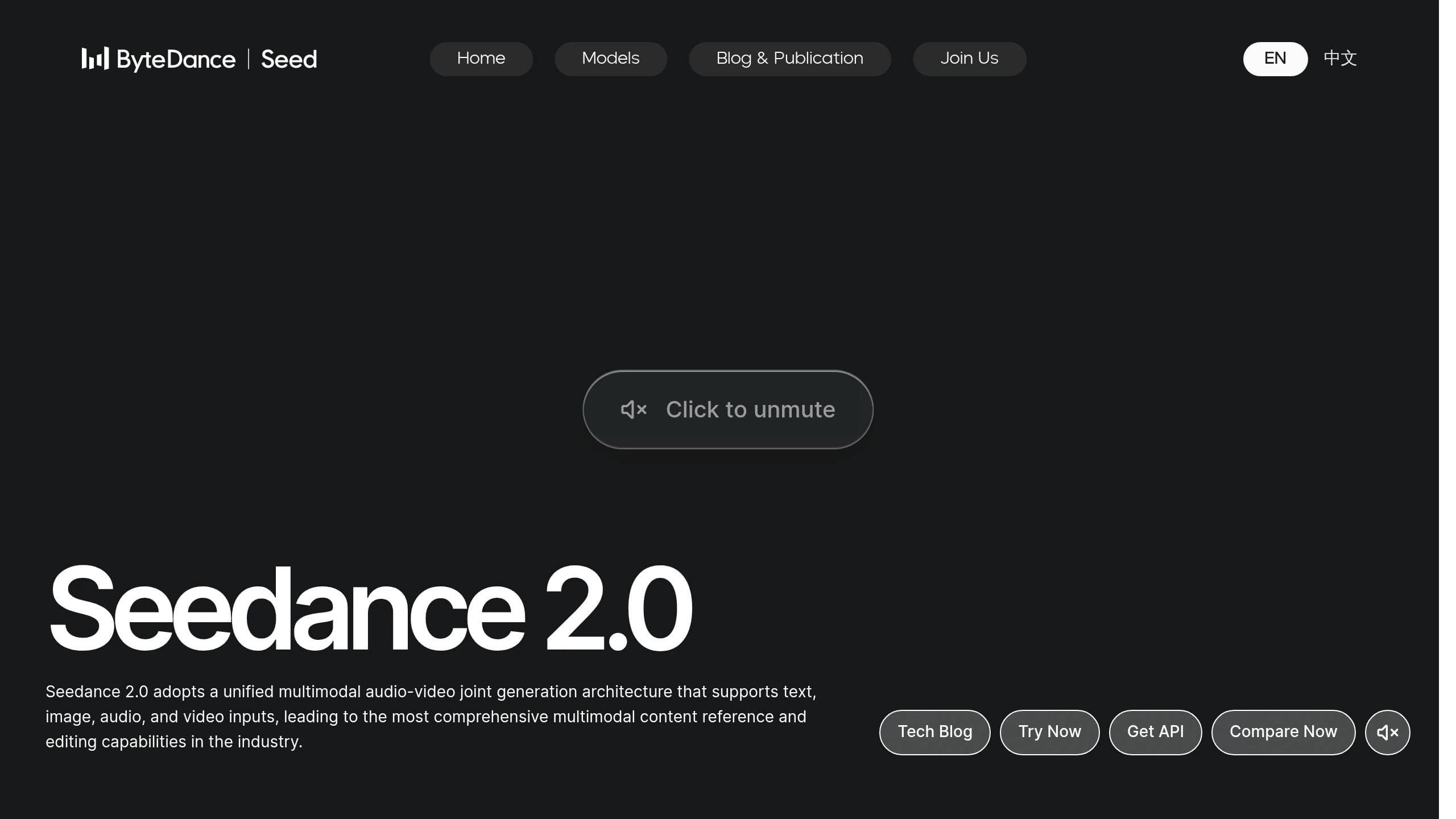 Seedance 2 Mini